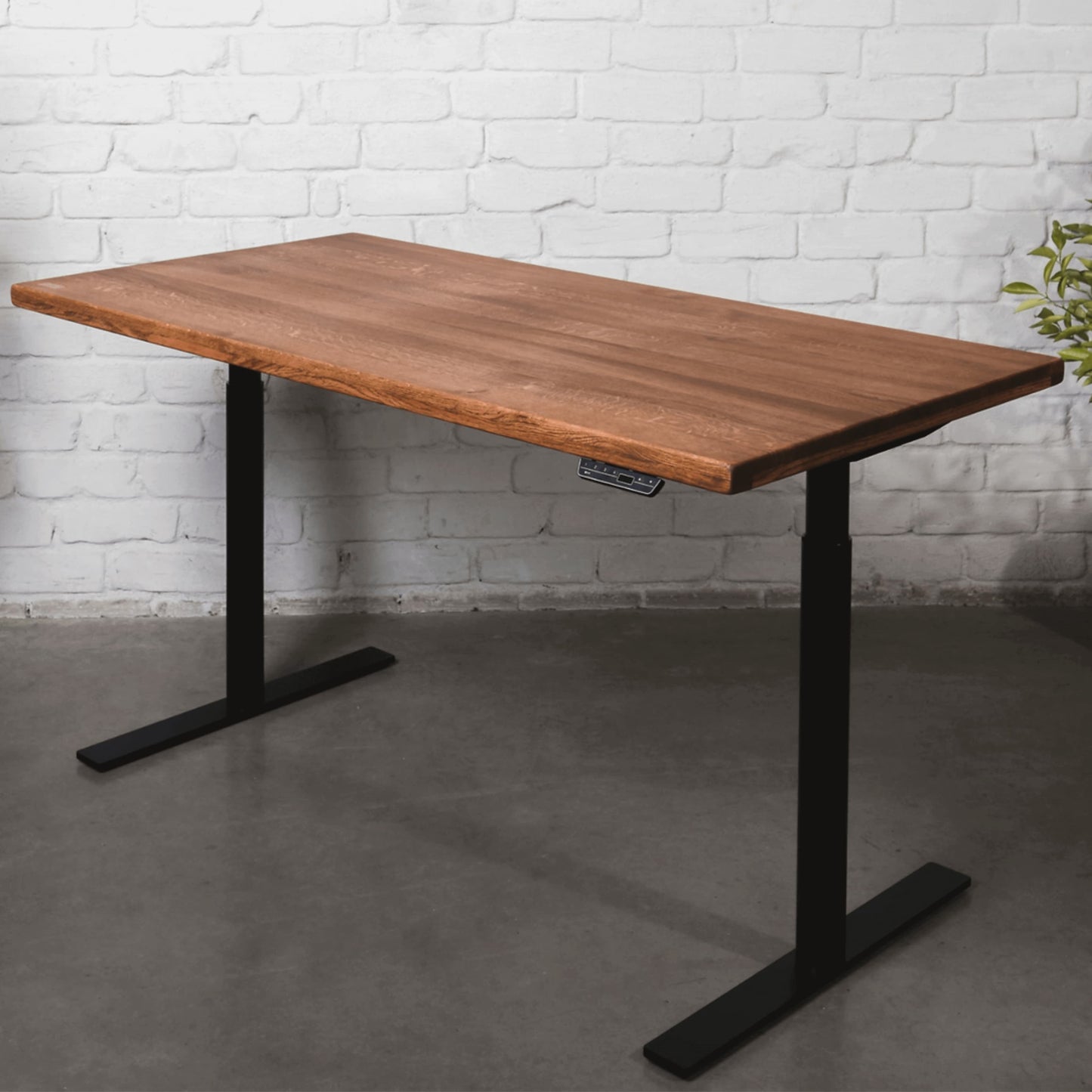 Solid Oak Standing Desk in Mahogany Finish with Black Frame in Modern Workspace